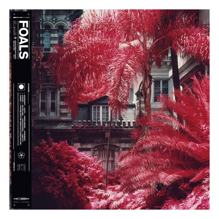 FOALS - EVERYTHING NOT SAVED WILL BE LOST: PART 1