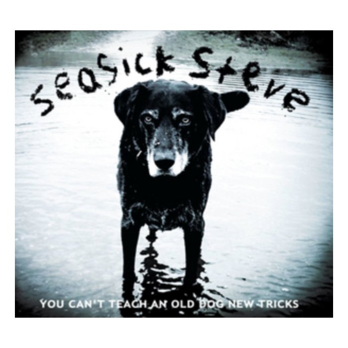 SEASICK STEVE - YOU CAN'T TEACH AN OLD DO