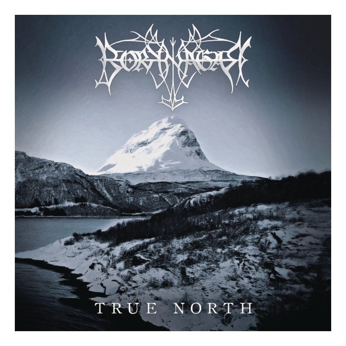 BORKNAGAR - TRUE NORTH (180G)