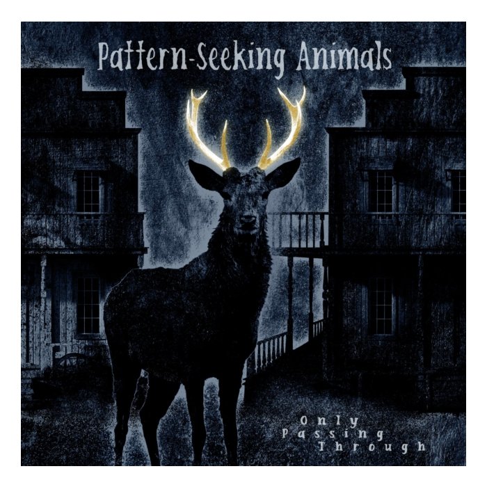 PATTERN-SEEKING ANIMALS - ONLY PASSING THROUGH (2LP/CD)