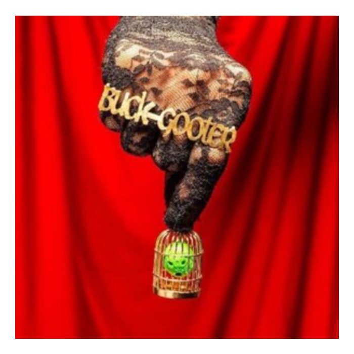 BUCK GOOTER - HEAD IN A BIRD CAGE (DL CARD)