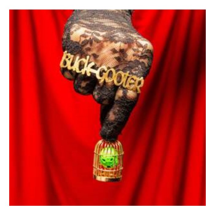 BUCK GOOTER - HEAD IN A BIRD CAGE (ORANGE SUN VINYL/DL CARD) (I)