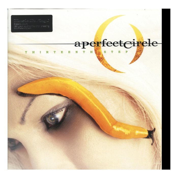 PERFECT CIRCLE - THIRTEENTH STEP (180G)