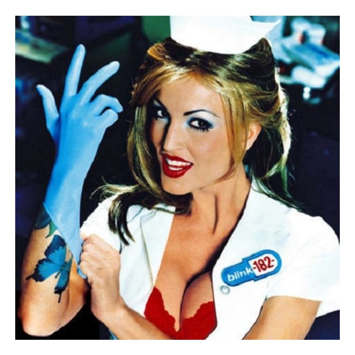 BLINK-182 - ENEMA OF THE STATE (X)