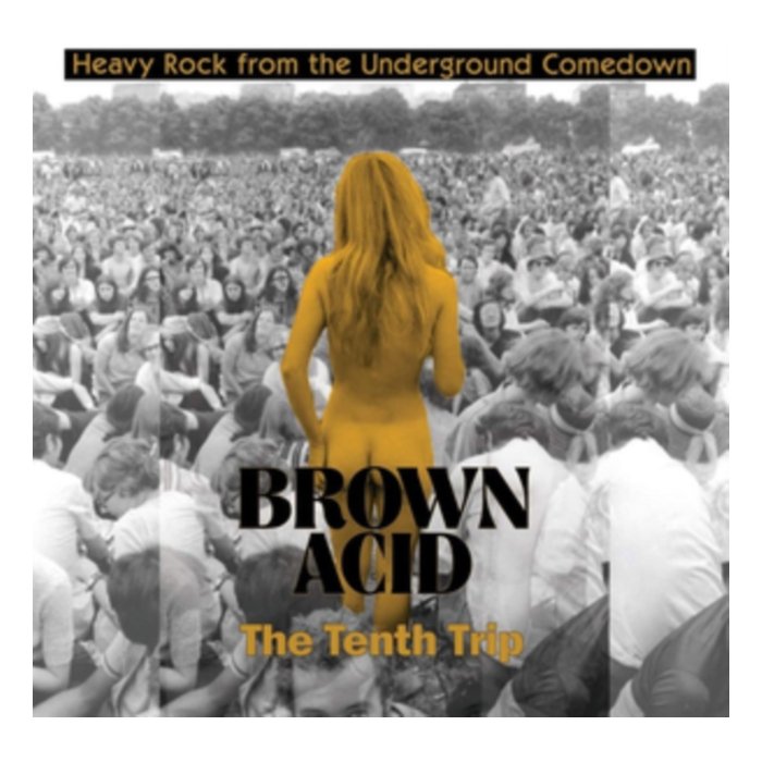 VARIOUS ARTISTS - BROWN ACID: THE TENTH TRIP