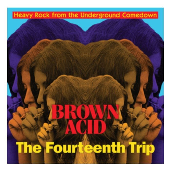 VARIOUS ARTISTS - BROWN ACID: THE FOURTEENTH TRIP