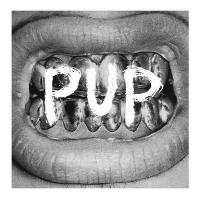 PUP - PUP (5TH ANNNIVERSARY)