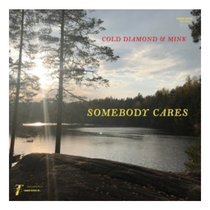 COLD DIAMOND & MINK & JONNY BENAVIDEZ - SOMEBODY CARES (MY ECHO