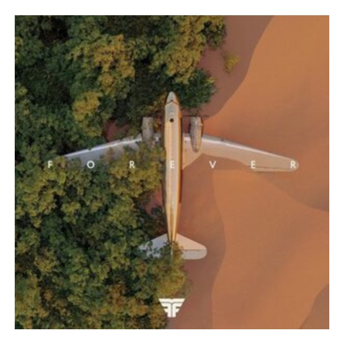 FLIGHT FACILITIES - FOREVER (2LP)