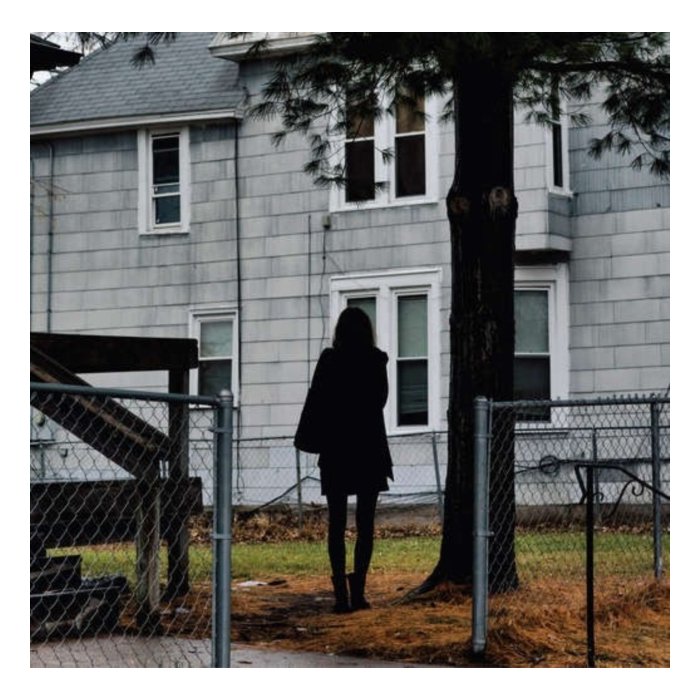 TALLEST MAN ON EARTH - DARK BIRD IS HOME