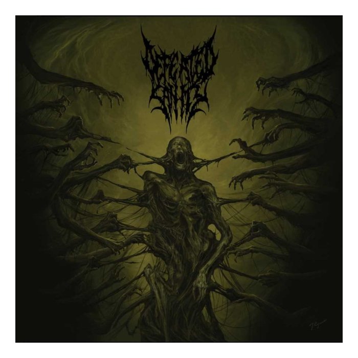 DEFEATED SANITY - PASSAGES INTO DEFORMITY (PICTURE DISC)