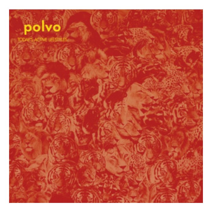 POLVO - TODAY'S ACTIVE LIFESTYLES