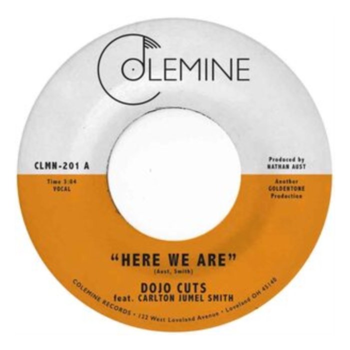 DOJO CUTS - HERE WE ARE (CLEAR VINYL)