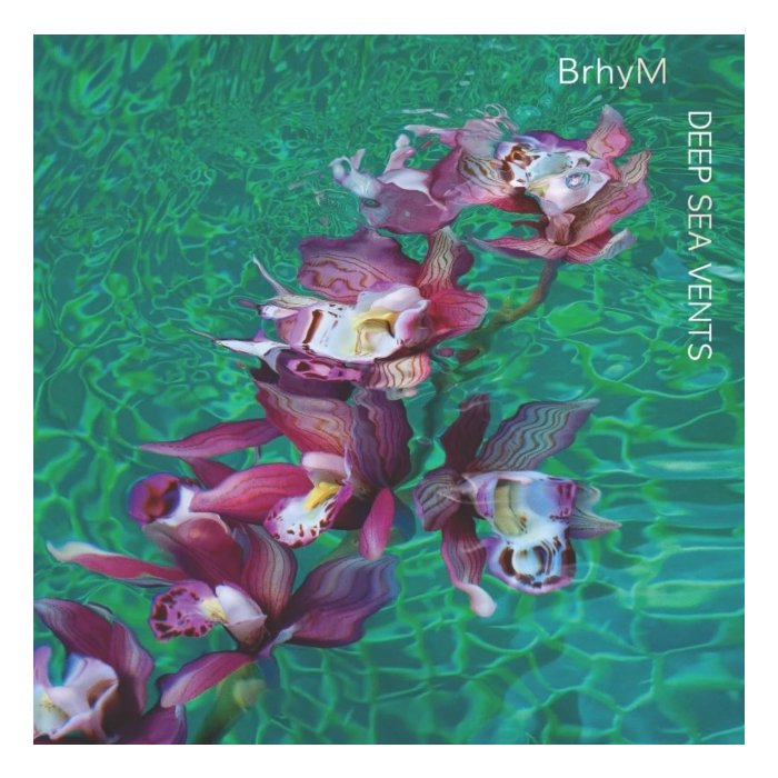 BRHYM - DEEP SEA VENTS