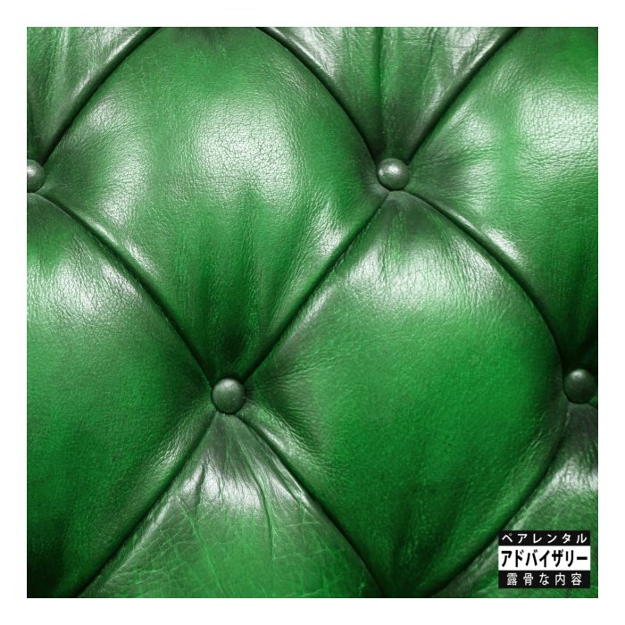 SONNYJIM X CAMOFLAUGE MONK - MONEY GREEN LEATHER SOFA