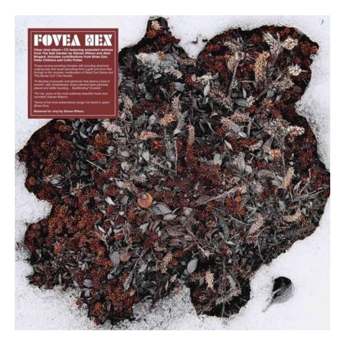 FOVEA HEX - SALT GARDEN (LP/CD/IMPORT)