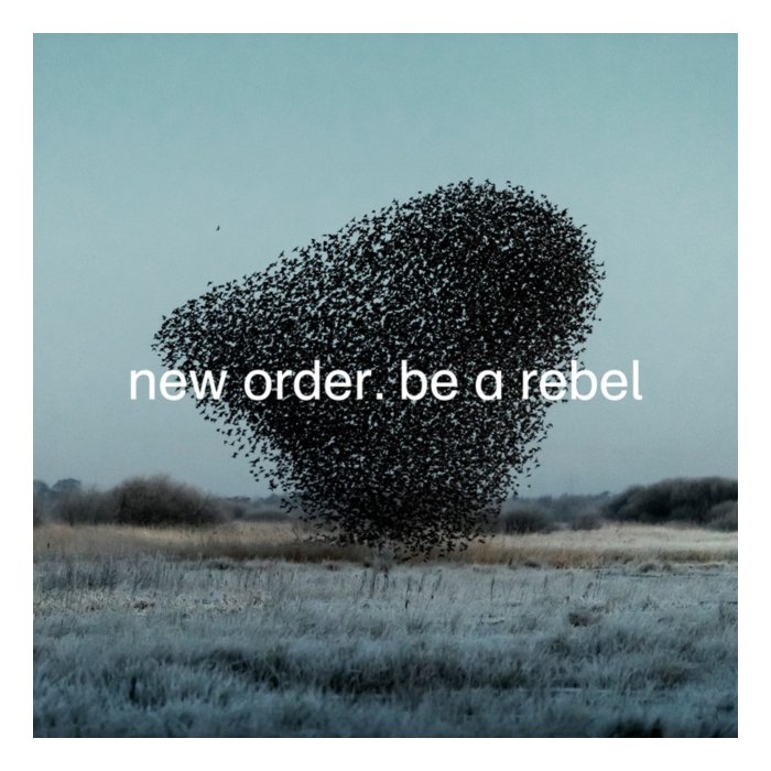 NEW ORDER - BE A REBEL