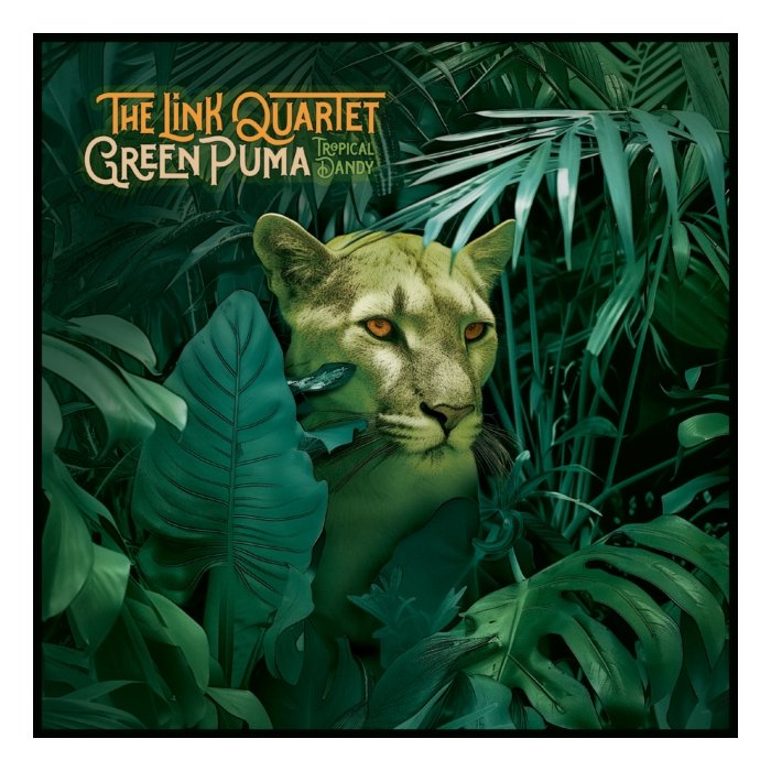 LINK QUARTET - GREEN PUMA/TROPICAL DANDY