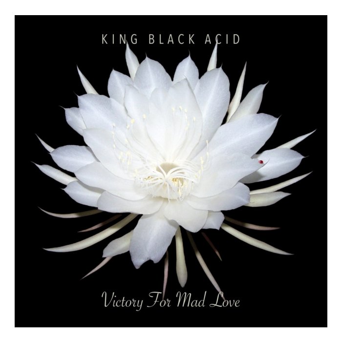 KING BLACK ACID - VICTORY FOR MAD LOVE (RSD)