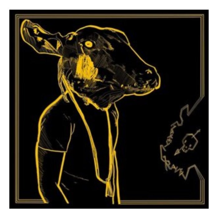 SHAKEY GRAVES - ROLL THE BONES X (GOLD & BLACK VINYL)