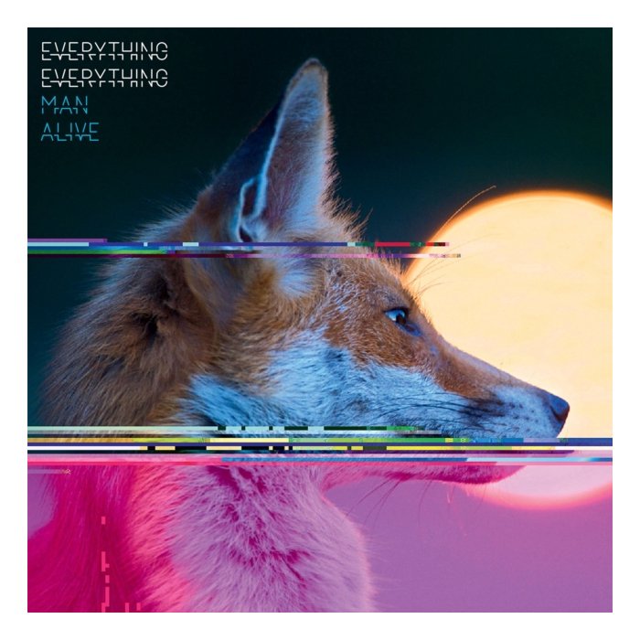 EVERYTHING EVERYTHING - MAN ALIVE