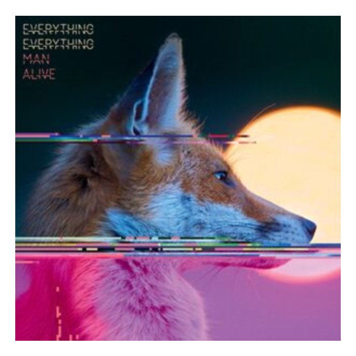 EVERYTHING EVERYTHING - MAN ALIVE (DELUXE EDITION) (2LP)