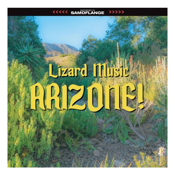 LIZARD MUSIC - ARIZONE!