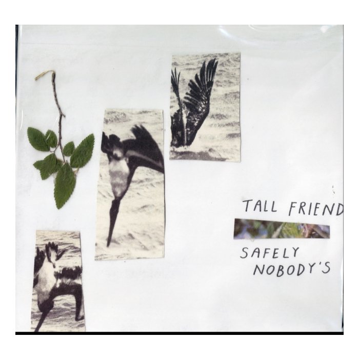 TALL FRIEND - SAFELY NOBODY'S