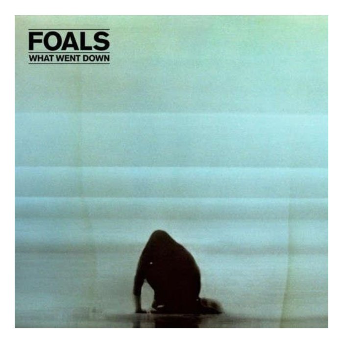 FOALS - WHAT WENT DOWN