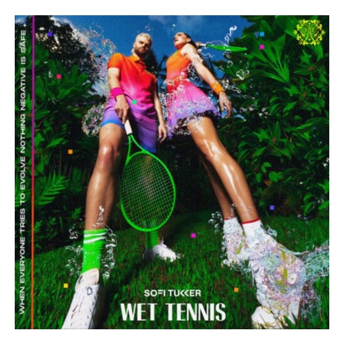 SOFI TUKKER - WET TENNIS (PICTURE DISC) (I)