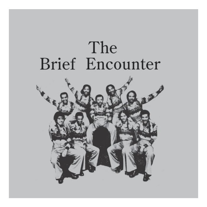 BRIEF ENCOUNTER - INTRODUCING THE BRIEF ENCOUNTER (SMOKY MOUNTAIN VINYL)