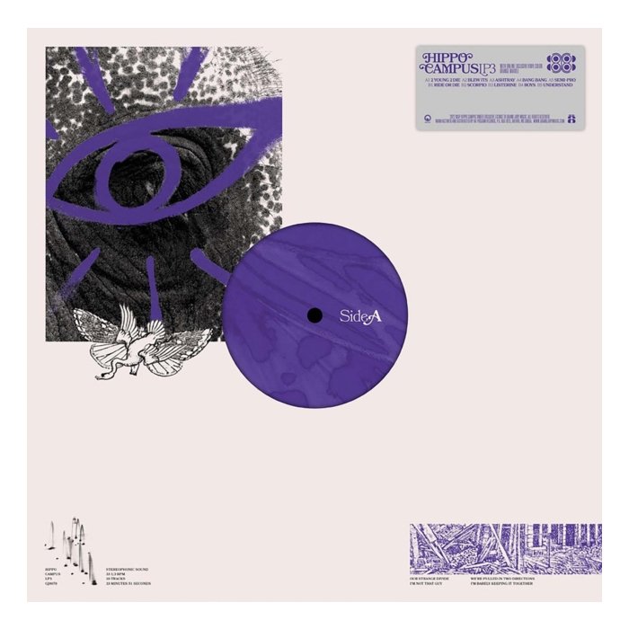 HIPPO CAMPUS - LP3 (LIMITED/OPAQUE PURPLE SWIRL/140G) (I)