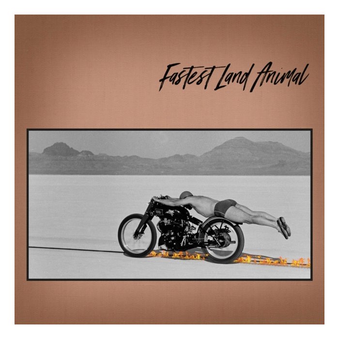 FASTEST LAND ANIMAL - EAST COAST