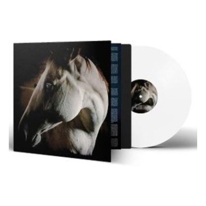 BROTHER DEGE - HOW TO KILL A HORSE (WHITE VINYL)