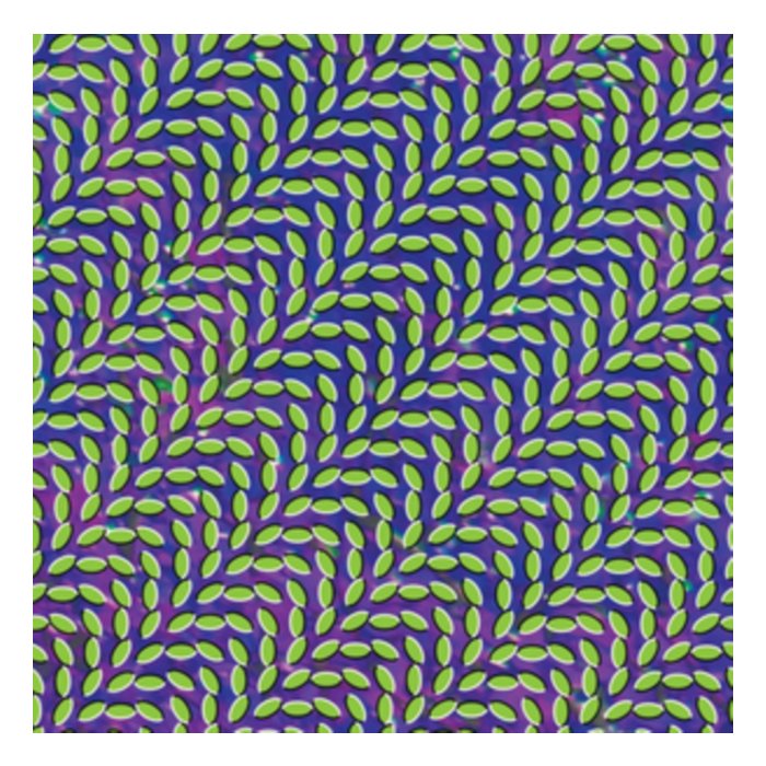 ANIMAL COLLECTIVE - MERRIWEATHER POST PAVILION (15TH ANNIVERSARY) (DELUXE/BLUISH & TRANSLUCENT GREEN VINYL/2LP)