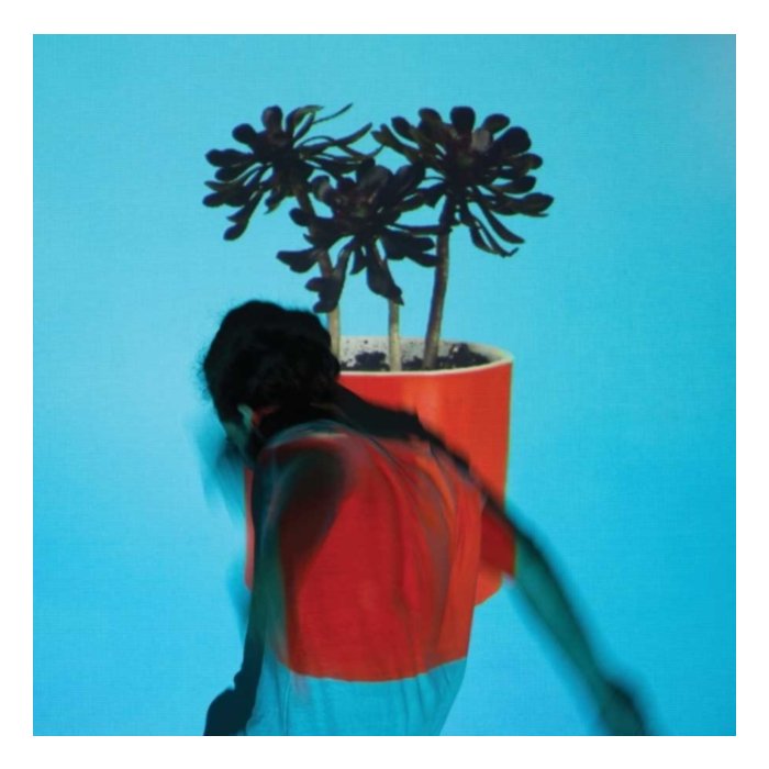 LOCAL NATIVES - SUNLIT YOUTH (150G/DL CARD)