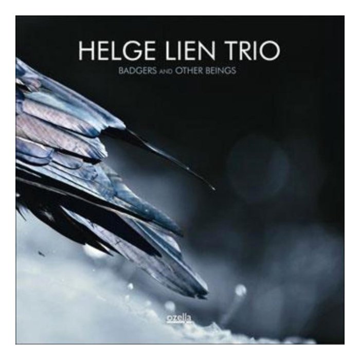 HELGE LIEN TRIO - BADGERS ANDOTHER BEINGS