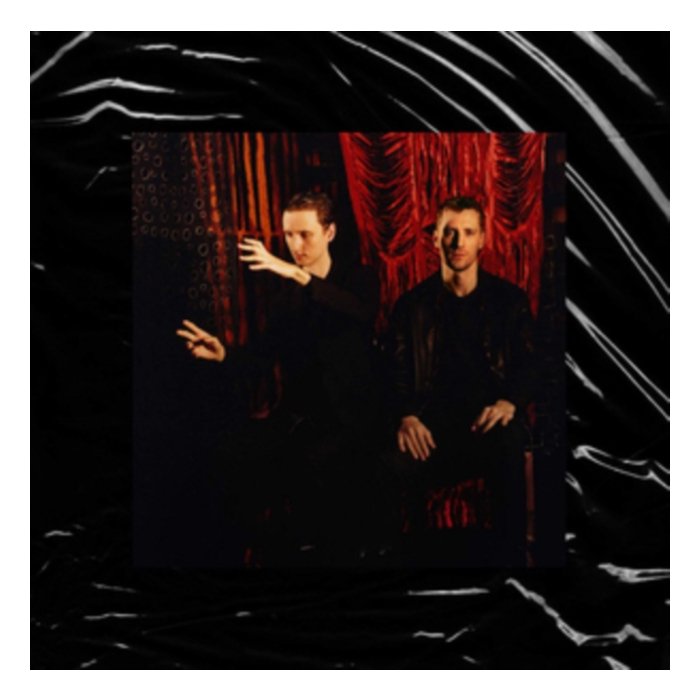 THESE NEW PURITANS - INSIDE THE ROSE