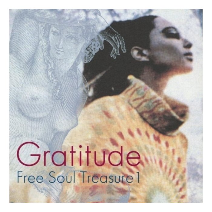 VARIOUS ARTISTS - GRATITUDE: SUBURBIA MEETS ULTRA-VYBE FREE SOUL TREASURE 1