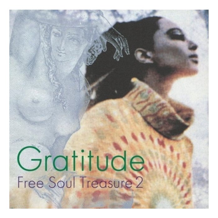 VARIOUS ARTISTS - GRATITUDE: SUBURBIA MEETS ULTRA-VYBE FREE SOUL TREASURE 2