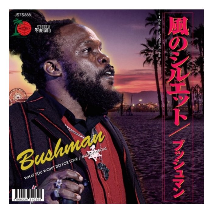 BUSHMAN - WHAT YOU WON'T DO FOR LOVE