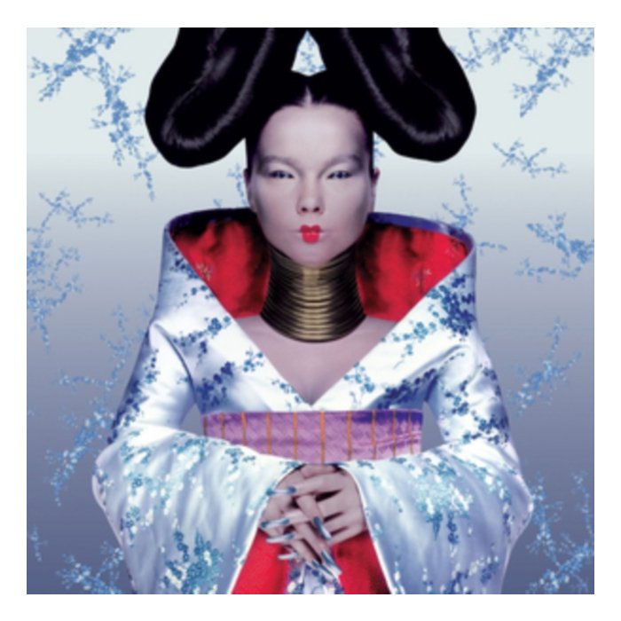 BJORK - HOMOGENIC