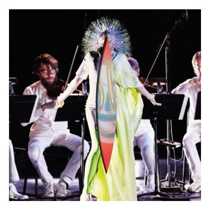 BJORK - VULNICURA STRINGS