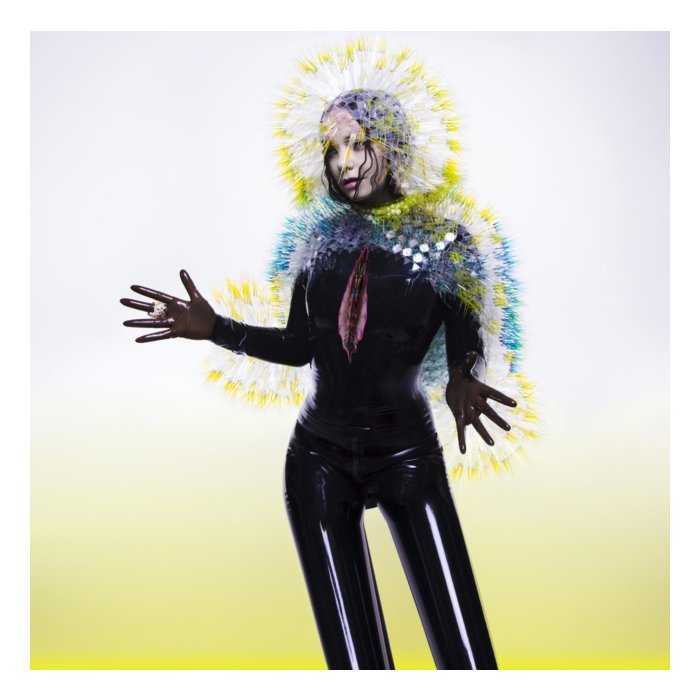 BJORK - VULNICURA