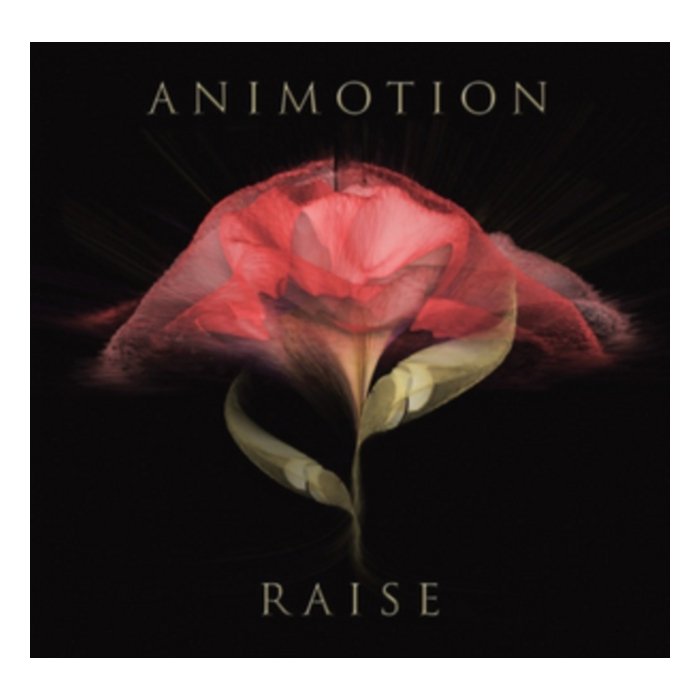 ANIMOTION - RAISE YOUR EXPECTATIONS