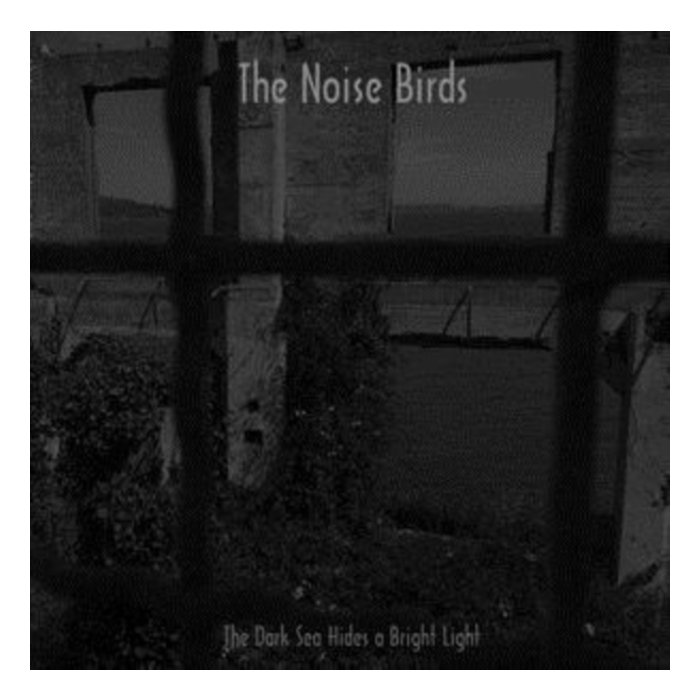 NOISE BIRDS - DARK SEA HIDES A BRIGHT LIGHT