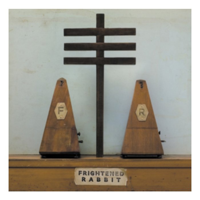 FRIGHTENED RABBIT - WOODPILE