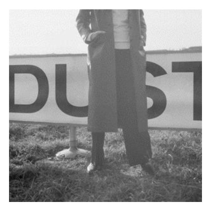 LAUREL HALO - DUST