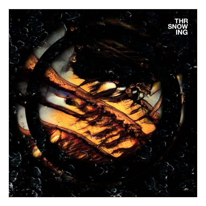 THROWING SNOW - DRAGONS (MARBLED ORANGE VINYL/180G)