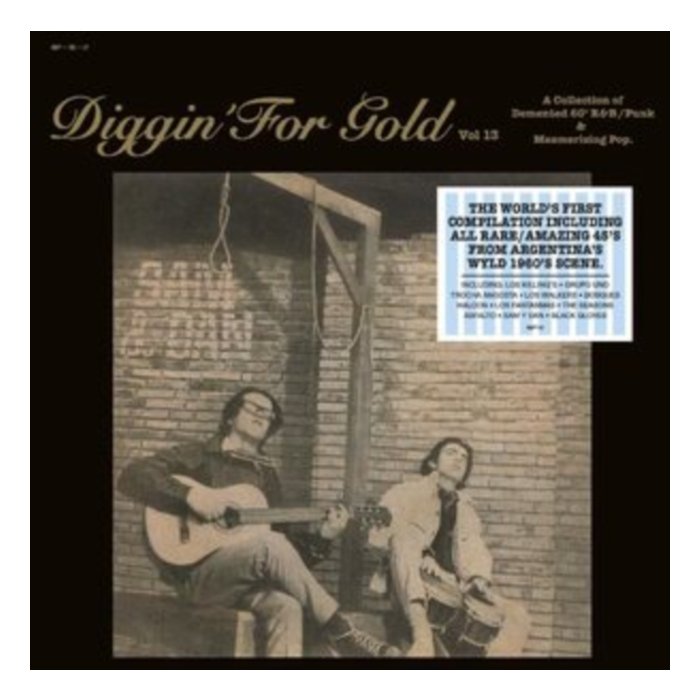 VARIOUS ARTISTS - DIGGIN' FOR GOLD VOL. 13